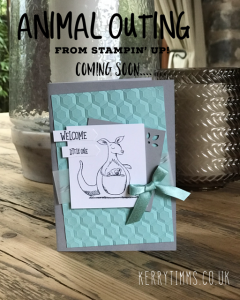 kerry timms cardmaking workshop class gloucester handmade creative stamping scrapbooking invitation craft papercraft animals baby kangaroo 