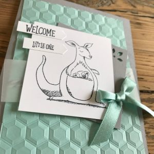 kerry timms cardmaking workshop class gloucester handmade creative stamping scrapbooking invitation craft papercraft animals baby kangaroo 