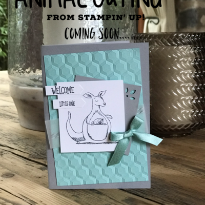 Coming Soon… Animal Outing